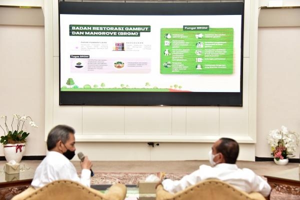 Gubernur Edy Rahmayadi Apresiasi Program Restorasi Gambut dan Mangrove